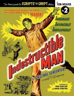 IndestrucibleManCover